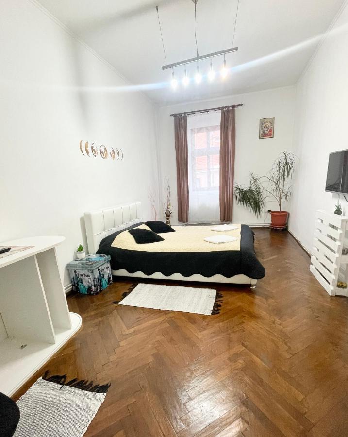 Studio Apartment Alex Sibiu Extérieur photo